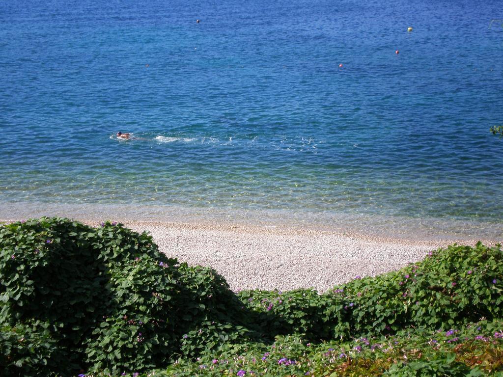 Villa Doris Zaton  Esterno foto